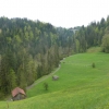 Quelltuff Lingenau